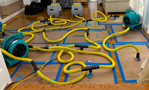 Professional Storm Water Damage Restoration technician working in Disney, OK